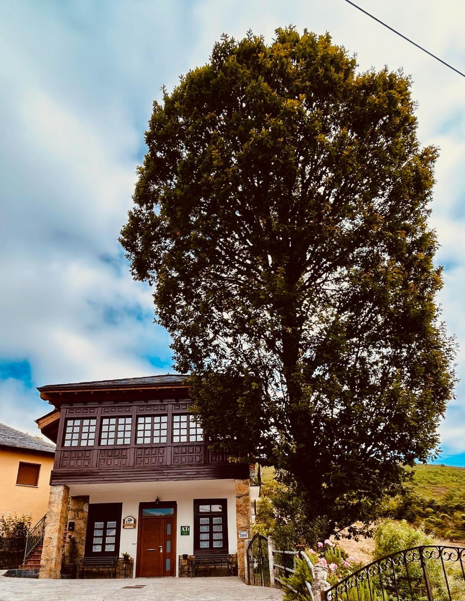 El Balcón De Muniellos Oballo Exterior foto